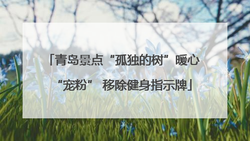 青岛景点“孤独的树”暖心“宠粉” 移除健身指示牌