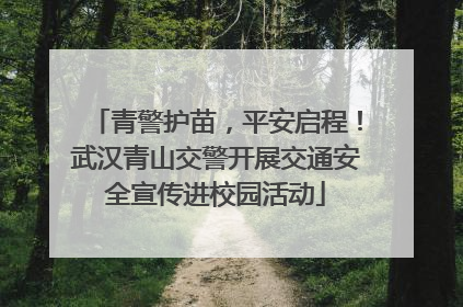 青警护苗，平安启程！武汉青山交警开展交通安全宣传进校园活动