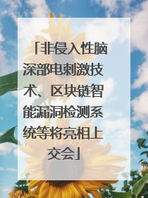 非侵入性脑深部电刺激技术、区块链智能漏洞检测系统等将亮相上交会