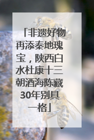 非遗好物再添秦地瑰宝，陕西白水杜康十三朝酒海陈藏30年别具一格