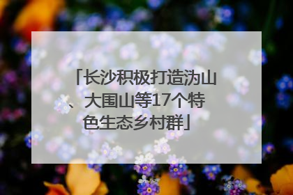 长沙积极打造沩山、大围山等17个特色生态乡村群