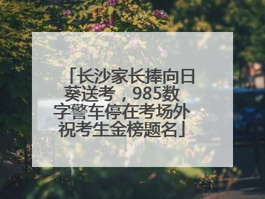 长沙家长捧向日葵送考，985数字警车停在考场外祝考生金榜题名