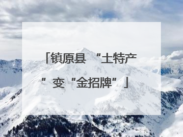 镇原县 “土特产”变“金招牌”