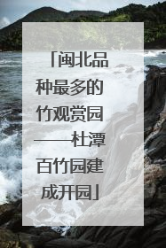 闽北品种最多的竹观赏园——杜潭百竹园建成开园