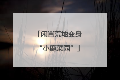 闲置荒地变身“小鹿菜园”