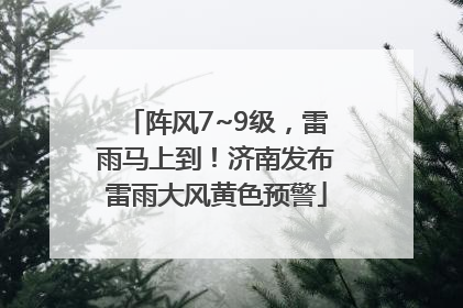 阵风7~9级，雷雨马上到！济南发布雷雨大风黄色预警