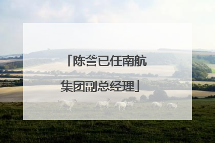 陈詟已任南航集团副总经理