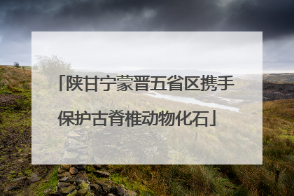 陕甘宁蒙晋五省区携手保护古脊椎动物化石