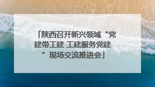 陕西召开新兴领域“党建带工建 工建服务党建”现场交流推进会