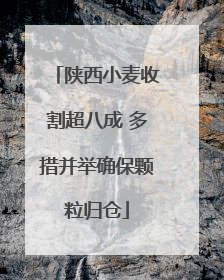 陕西小麦收割超八成 多措并举确保颗粒归仓