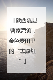 陕西陇县曹家湾镇：金色麦田里的“志愿红”