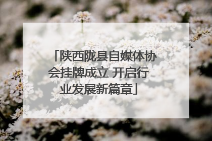 陕西陇县自媒体协会挂牌成立 开启行业发展新篇章