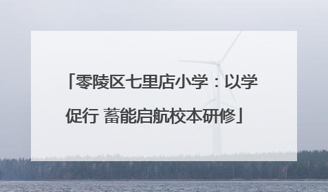 零陵区七里店小学：以学促行 蓄能启航校本研修