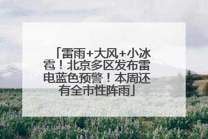 雷雨+大风+小冰雹！北京多区发布雷电蓝色预警！本周还有全市性阵雨