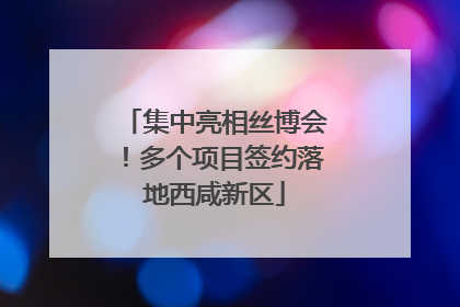 集中亮相丝博会！多个项目签约落地西咸新区