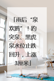 雨后“泉欢腾”！趵突泉、黑虎泉水位止跌回升，上涨3厘米
