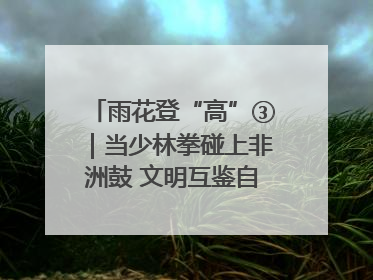 雨花登“高”③｜当少林拳碰上非洲鼓 文明互鉴自有动人韵律