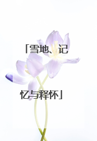 雪地、记忆与释怀