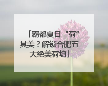 霸都夏日“荷”其美？解锁合肥五大绝美荷塘