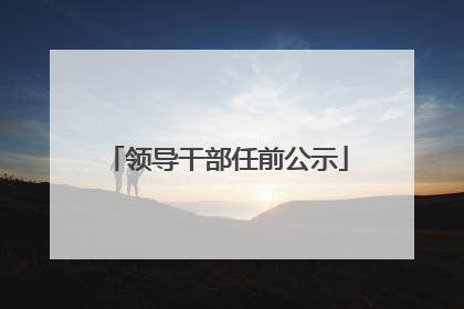 领导干部任前公示