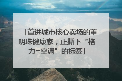 首进城市核心卖场的董明珠健康家，正撕下“格力=空调”的标签