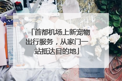 首都机场上新宠物出行服务，从家门一站抵达目的地
