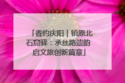 香约庆阳｜镇原北石窟驿：承丝路遗韵 启文旅创新篇章