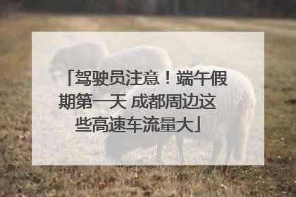 驾驶员注意！端午假期第一天 成都周边这些高速车流量大