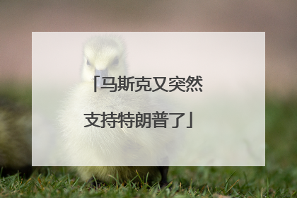 马斯克又突然支持特朗普了