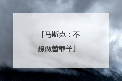 马斯克：不想做替罪羊