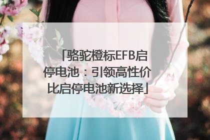 骆驼橙标EFB启停电池：引领高性价比启停电池新选择