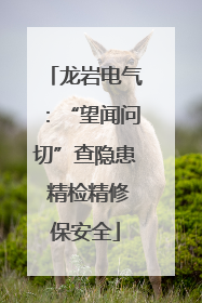 龙岩电气：“望闻问切”查隐患 精检精修保安全