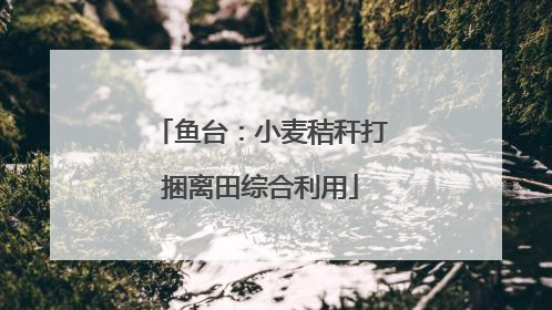 鱼台：小麦秸秆打捆离田综合利用