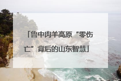 鲁中肉羊高原“零伤亡”背后的山东智慧