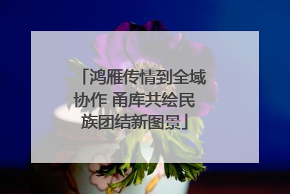 鸿雁传情到全域协作 甬库共绘民族团结新图景