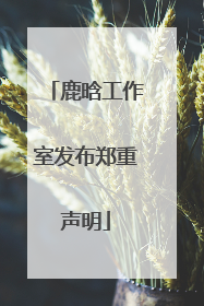 鹿晗工作室发布郑重声明