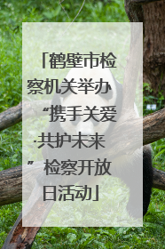 鹤壁市检察机关举办“携手关爱·共护未来”检察开放日活动