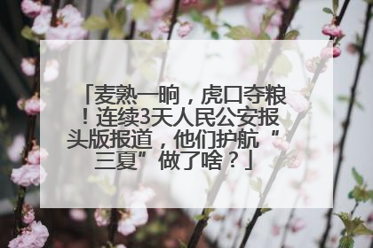 麦熟一晌，虎口夺粮！连续3天人民公安报头版报道，他们护航“三夏”做了啥？