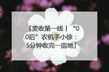 麦收第一线丨“00后”农机手小徐：5分钟收完一亩地