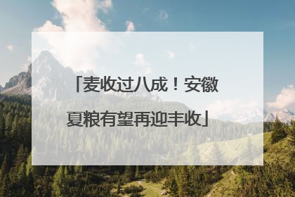 麦收过八成！安徽夏粮有望再迎丰收