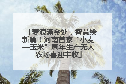 麦浪涌金处，智慧绘新篇！河南首家“小麦—玉米”周年生产无人农场喜迎丰收
