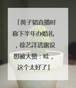 黄子韬直播时称下半年办婚礼，徐艺洋透露设想被大赞：哇，这个太好了