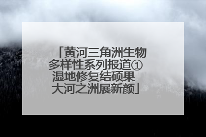 黄河三角洲生物多样性系列报道①湿地修复结硕果 大河之洲展新颜