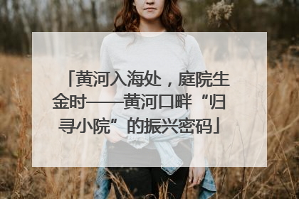 黄河入海处，庭院生金时——黄河口畔“归寻小院”的振兴密码
