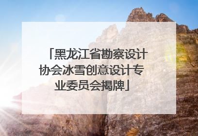 黑龙江省勘察设计协会冰雪创意设计专业委员会揭牌