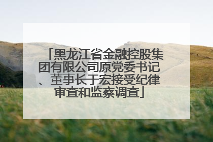 黑龙江省金融控股集团有限公司原党委书记、董事长于宏接受纪律审查和监察调查