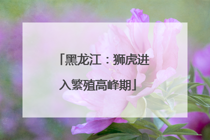 黑龙江：狮虎进入繁殖高峰期
