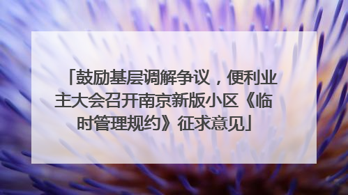 鼓励基层调解争议，便利业主大会召开南京新版小区《临时管理规约》征求意见