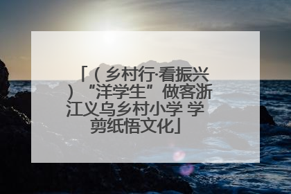 （乡村行·看振兴）“洋学生”做客浙江义乌乡村小学 学剪纸悟文化