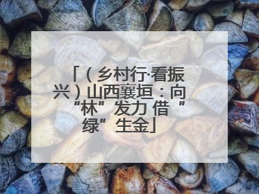 （乡村行·看振兴）山西襄垣：向“林”发力 借“绿”生金